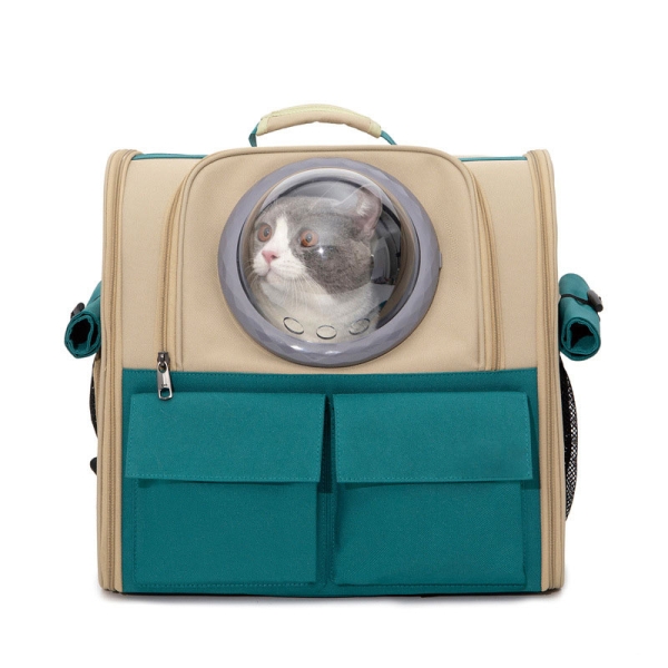 猎豹加速器下载